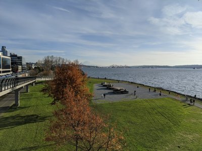 PXL_20201127_220542432-.jpg