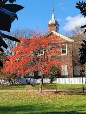 20201128_101906.jpg