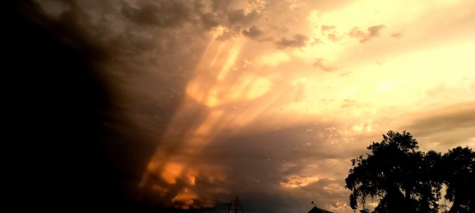 20210613_202020.jpg