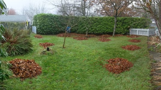PXL_20201129_181752380.PANO-.jpg