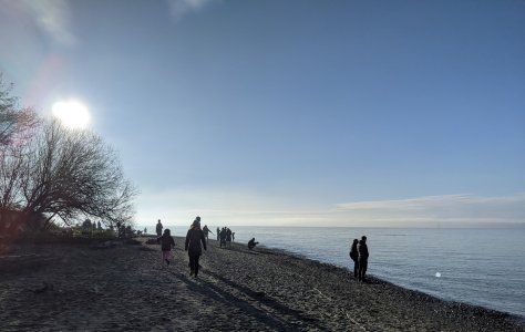PXL_20201129_222342212ce.jpg