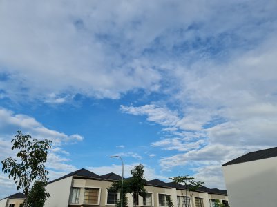 20201130_163942.jpg