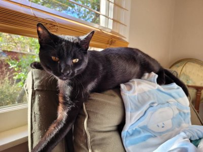 20201230_090643.jpg