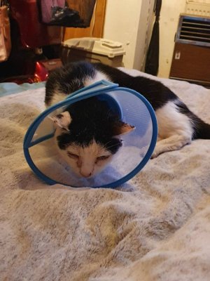 20201130_210819.jpeg