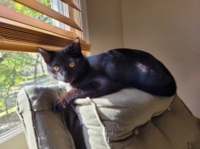 20201201_101011.jpg