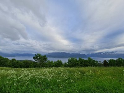 20210621_203722.jpg