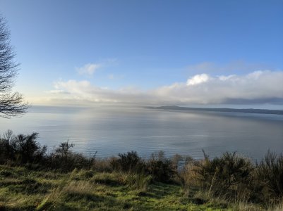 PXL_20201201_170506605.jpg