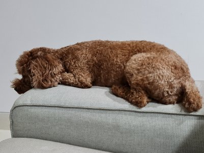 20201202_183336.jpg