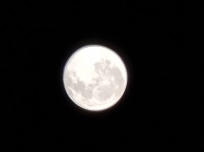 20201201_194851.jpg