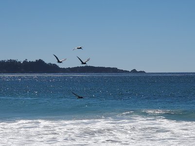 20200923_133251.jpg
