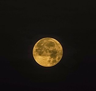 Moon main.jpg