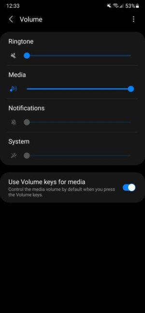 Screenshot_20210221-003331_Settings.jpg