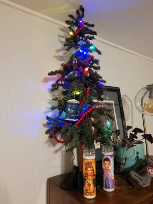 20201206_204917.jpeg