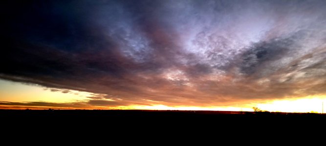 20210223_061558.jpg