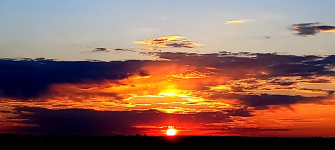 20210708_054321.jpg