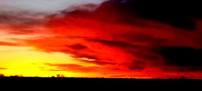 20210304_061915.jpg