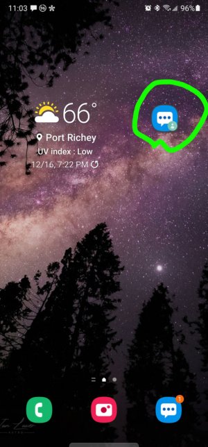 Screenshot_20201217-110345_One-UI-Home.jpg