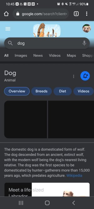 Screenshot_20210308-104546_Chrome.jpg