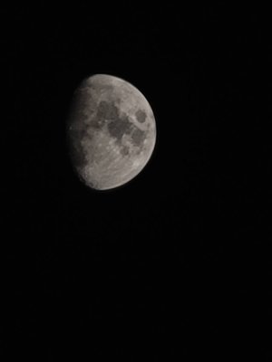 20200926_193506.jpeg