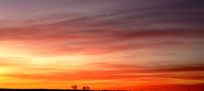 20210309_060249.jpg