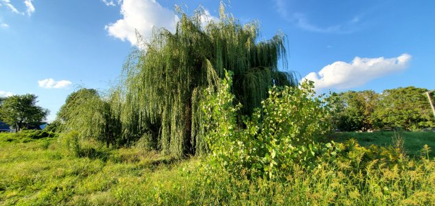 20210830_182559.jpg