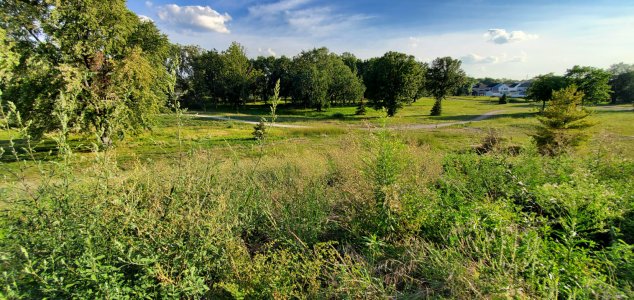 20210830_183015.jpg