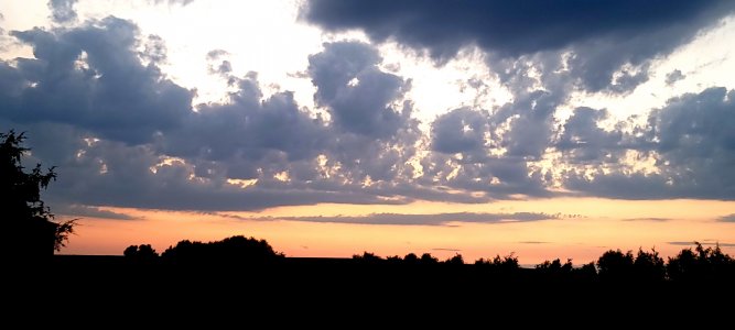20210717_203300.jpg