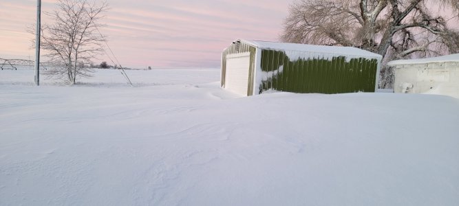 20210315_070857.jpg