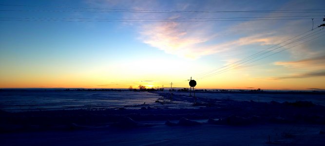 20210315_071311.jpg