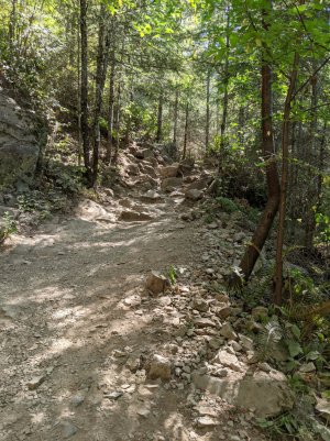 PXL_20210729_175630168r.jpg