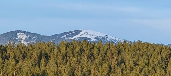 20210308_171141.jpg