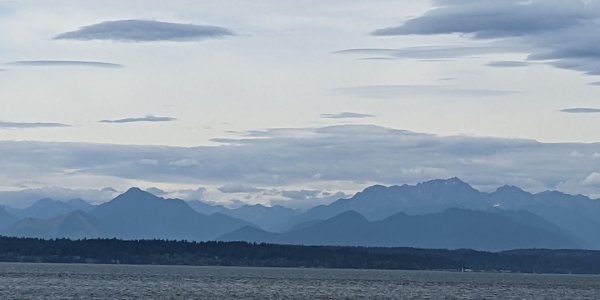 PXL_20210904_210148634r.jpg