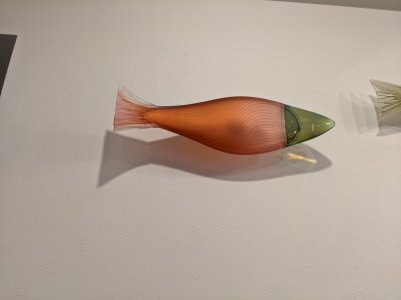 PXL_20210903_183147124.jpg