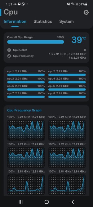 Screenshot_20210906-133131_Cpu Monitor.jpg