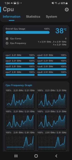 Screenshot_20210906-133413_Cpu Monitor.jpg