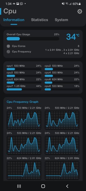 Screenshot_20210906-133419_Cpu Monitor.jpg