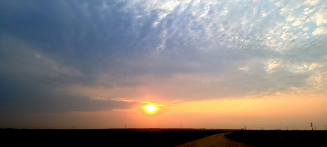 20210803_063351.jpg
