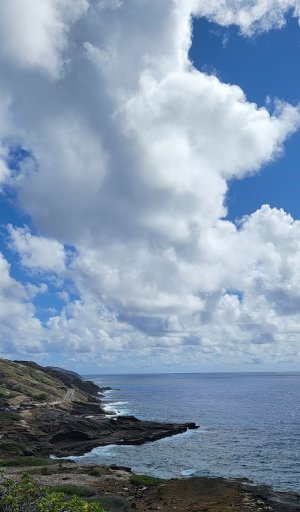 20210906_095831.jpg