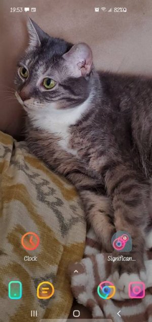 Screenshot_20210325-195330_Nova%20Launcher.jpg