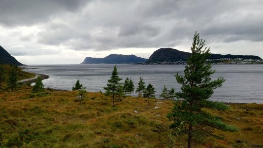 20210907_174320.jpg