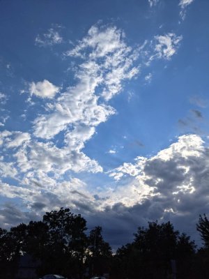 PXL_20210908_215545609.jpg