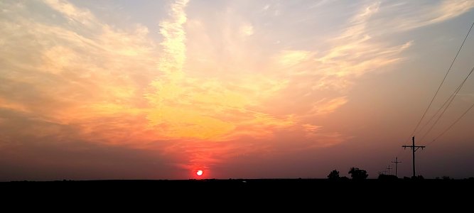 20210812_061614.jpg