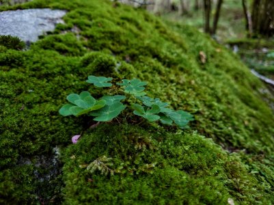 20210817_111444.jpg