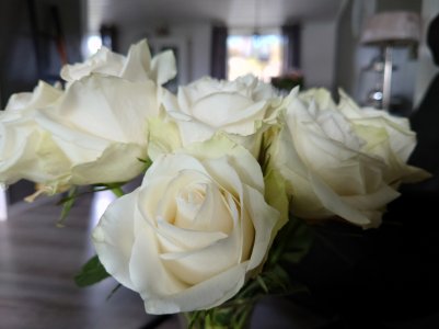 20210817_123154.jpg