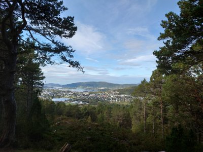 20210919_135647.jpg