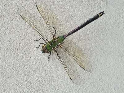20210919_171717.jpg