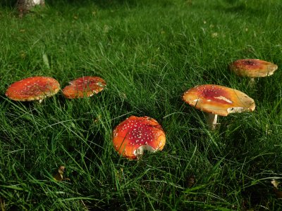 20210919_120641.jpg