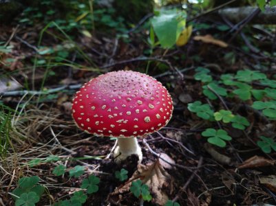 20210919_113451.jpg
