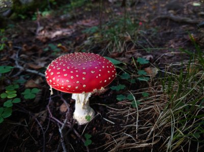 20210919_113417.jpg