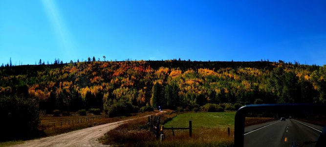 20210916_104506.jpg